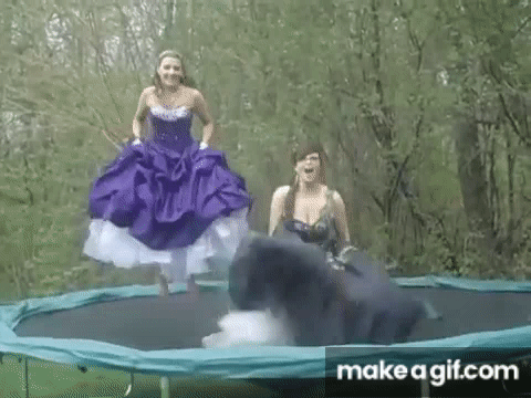 prom dress gif Prom Gown GIFs