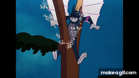 Tom & Jerry | Tom the Cat or Tom the Bird | WB Kids on Make a GIF