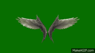 angel wings gif