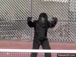 HKQ1SK.gif
