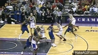 Резултат слика за peja stojakovic gif