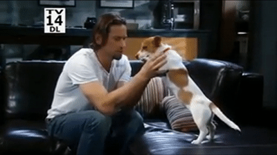 Franco Gives Nina A Puppy & She Gets Upset ~ GH on Make a GIF