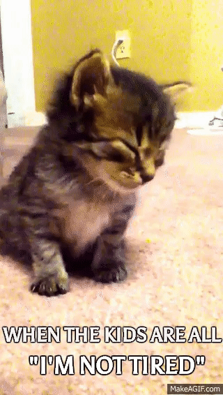 When the kids are all, "I'm NOT tired!" on Make a GIF