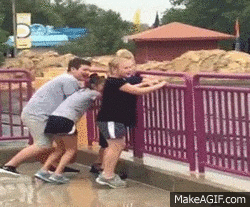 funny gifs and videos