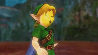Link The Legend Of Zelda Serious Hyrule Warrior GIF