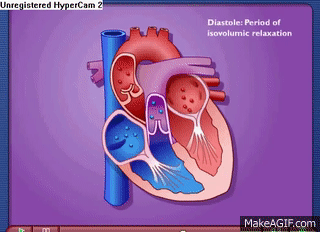 Cardiac Cycle - Systole & Diastole on Make a GIF