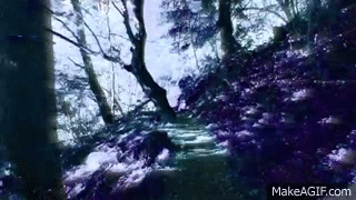 Jessy Blue Magic Forest On Make A Gif