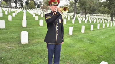 Image result for ARLINGTON CEMETERY gif