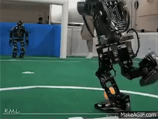 p4dz81.gif