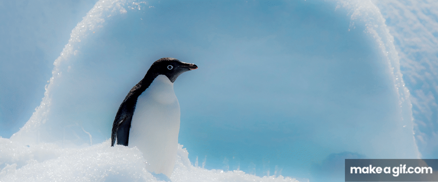 Antarctic Trips on Make a GIF