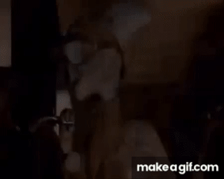 [PokeCommunity.com] Reply with a GIF