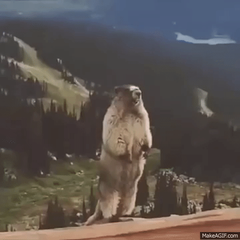 Ke9GiQ.gif