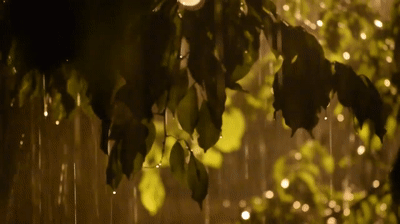 Rain in night - Heavy rain sound & video in beautiful nature Full HD! on  Make a GIF
