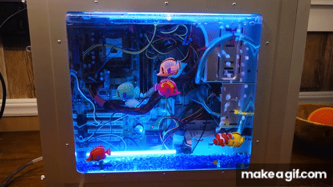 PC Gaming in an Aquarium 