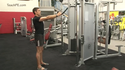 Weight Training Workout - Face Pull With Cable on Make a GIF