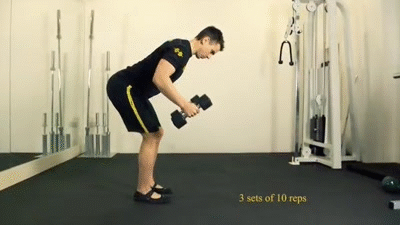 Best Free Weight Back Exercises