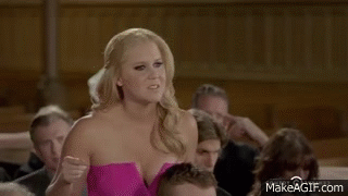 Inside Amy Schumer Wedding Objections On Make A Gif Inside Amy Schumer Wedding Objections