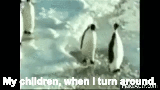 Penguin slaps other penguin on Make a GIF