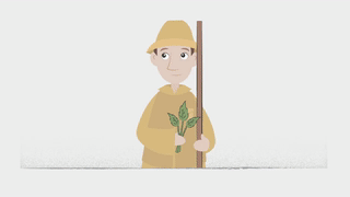 The History Of Tea Shunan Teng On Make A Gif The History Of Tea Shunan Teng On Make A Gif