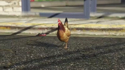 pic Chicken Cross The Road Gif should not cross the road on make a gif