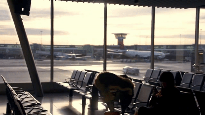 Airplanes, Airport, Terminal, Take Off, Landing - Royaly Free Stock Footage  on Make a GIF