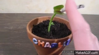 venus fly trap cigarette Charlie the badass venus fly trap on Make a GIF