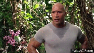 Funny Gifs : the rock GIF 