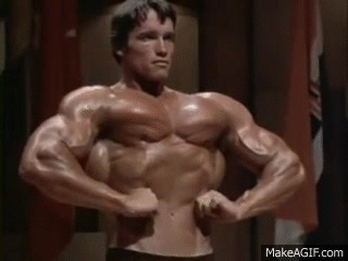 Arnold Schwarzenegger Mr Olympia 1975 On Make A Gif