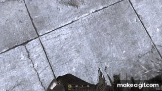 7bNXDM.gif