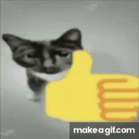 Cat Memes GIFs