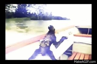 Sloth on a Boat on Make a GIF