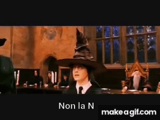 Harry Potter e il cappello parlante non la n on Make a GIF