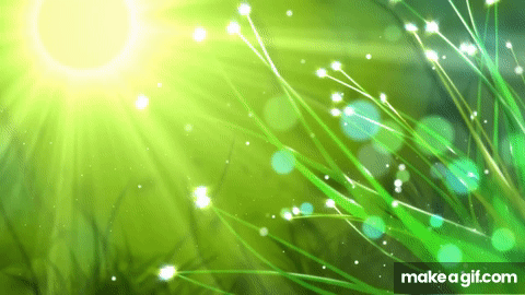 Cool Nature Video Background With Music Loop by_ Zc on Make a GIF