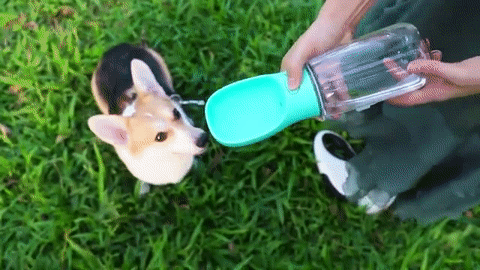 Portable Dog Water Bottle & Bowl/Portable Pet Water Bottle on Make a GIF