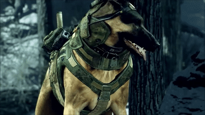 Call Of Duty Ghost And Riley GIF