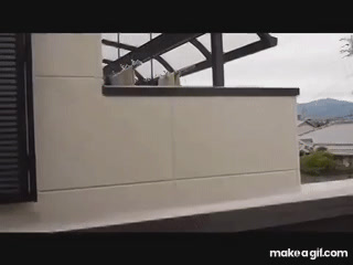 Un Chat Saute D Un Balcon Fail On Make A Gif