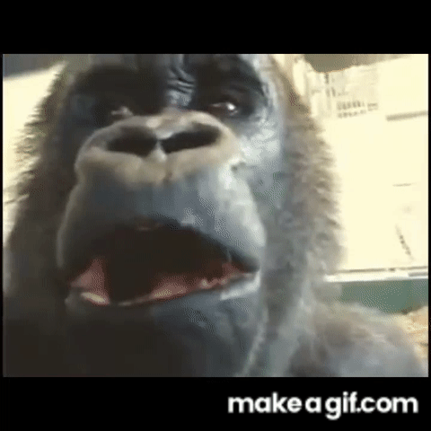 vkOhoz.gif