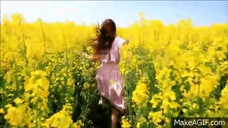 Young Woman in Vintage Dress Running Field Touching Flowers HD on Make a GIF