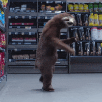 Dance Time with Mr. Sloth on Make a GIF