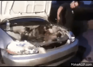 [Immagine: ua_UjT.gif]