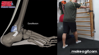 how-to-improve-ankle-dorsiflexion-for-a-better-squat-on-make-a-gif