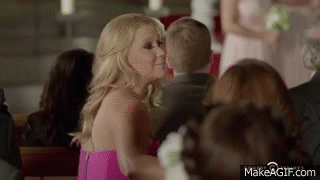 Inside Amy Schumer Wedding Objections On Make A Gif Inside Amy Schumer Wedding Objections