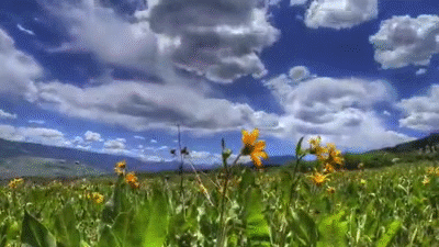 Hdr Motion Time Lapse Cimarron Flower Field On Make A Gif