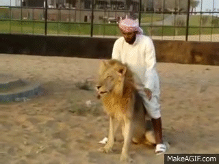 Arab Man Rides Lion on Make a GIF