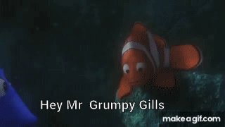 mr grumpy gills