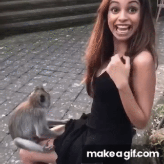 Animated Gifs  Most viral videos, Cool gifs, Viral videos