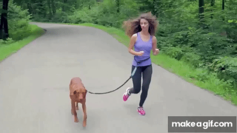 Best Hands-Free Dog Leash for Running &amp; Jogging with Your Pets on Make a GIF