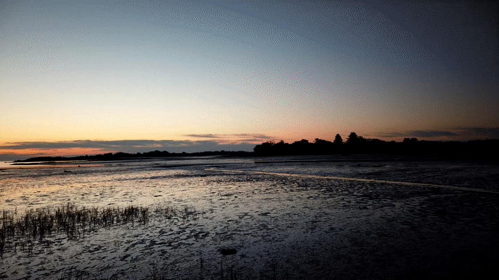 Thursday Cape Porpoise Timelapse