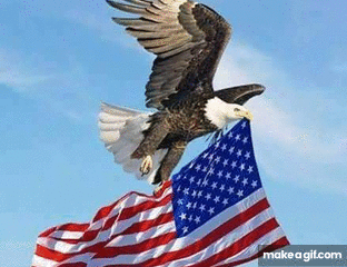 Animated GIF of a veteran in uniform with fireworks and the words 'Happy 4th of July'