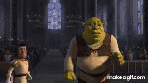 Someone uploaded The entire Shrek movie as a gif - Imgur
